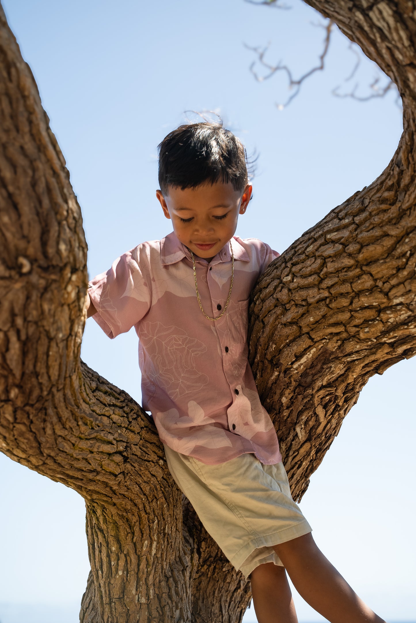 Keiki Kāne Kalo Aloha Shirt